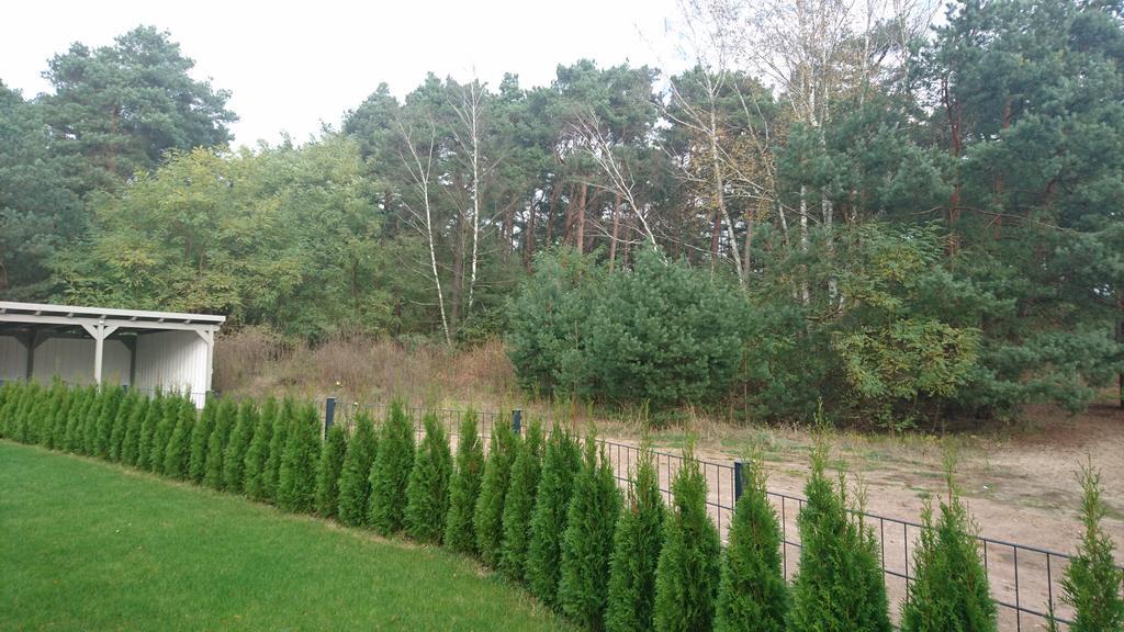 Ferienwohnung Hellwig Wendisch Rietz Exterior foto